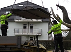 Das Mammut ist umgezogen (Foto: nnz)