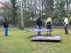 Das Mammut ist umgezogen (Foto: nnz)
