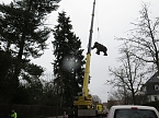 Das Mammut ist umgezogen (Foto: nnz)