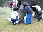 Das Mammut ist umgezogen (Foto: nnz)