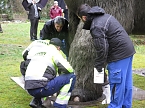 Das Mammut ist umgezogen (Foto: nnz)
