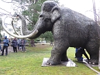 Das Mammut ist umgezogen (Foto: nnz)