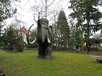 Das Mammut ist umgezogen (Foto: nnz)