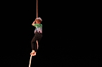 No money - pure honey - die Kinder des Zirkus Zappelini zeigten am Abend, was sie drauf haben (Foto: Angelo Glashagel)