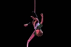 No money - pure honey - die Kinder des Zirkus Zappelini zeigten am Abend, was sie drauf haben (Foto: Angelo Glashagel)