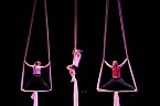 No money - pure honey - die Kinder des Zirkus Zappelini zeigten am Abend, was sie drauf haben (Foto: Angelo Glashagel)