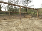 Platz f&uuml;r Wasserb&uuml;ffel (Foto: Peter Blei)