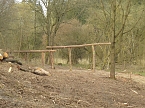Platz f&uuml;r Wasserb&uuml;ffel (Foto: Peter Blei)