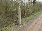 Platz f&uuml;r Wasserb&uuml;ffel (Foto: Peter Blei)