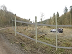 Platz f&uuml;r Wasserb&uuml;ffel (Foto: Peter Blei)