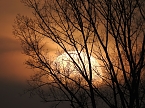Die etwas andere Sichtweise (Foto: Peter Blei)