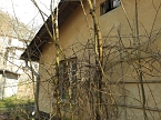 Abstecher nach Wendefurth (Foto: Peter Blei)