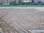 Fr&uuml;hjahrsputz auf dem August-Bebel-Platz in Nordhausen (Foto: Peter Blei)