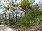 Im Park unterwegs (Foto: nnz)
