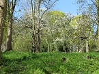 Im Park unterwegs (Foto: nnz)