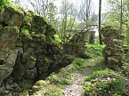 Im Park unterwegs (Foto: nnz)