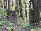 Im Park unterwegs (Foto: nnz)