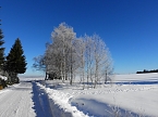 Spaziergang in Rotacker (Foto: Peter Blei)