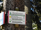 Spaziergang in Rotacker (Foto: Peter Blei)