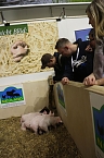 Gr&uuml;ne Woche 2017 in Berlin (Foto: Angelo Glashagel)