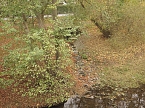 Kaum noch Wasser (Foto: nnz)