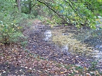 Kaum noch Wasser (Foto: nnz)