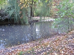 Kaum noch Wasser (Foto: nnz)
