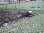 Kaum noch Wasser (Foto: nnz)