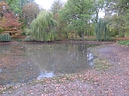 Kaum noch Wasser (Foto: nnz)