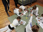 Judo Safari der TSG Salza (Foto: privat)