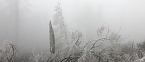 Erster Schnee auf dem Brocken (Foto: VGF)