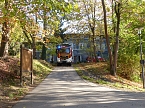 Hohler Baumstamm wurde in Brand gesetzt (Foto: nnz)