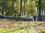 Hohler Baumstamm wurde in Brand gesetzt (Foto: nnz)