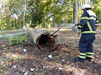 Hohler Baumstamm wurde in Brand gesetzt (Foto: nnz)