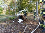 Hohler Baumstamm wurde in Brand gesetzt (Foto: nnz)