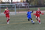 Keine Chance in S&ouml;mmerda (Foto: Martina Nebelung)