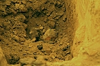 Bilder von den Fundstellen (Foto: S. Dietzel)