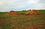 Bilder von den Fundstellen (Foto: S. Dietzel)
