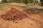 Bilder von den Fundstellen (Foto: S. Dietzel)