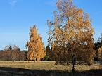 Herbst im Harz (Foto: Peter Blei)