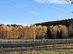 Herbst im Harz (Foto: Peter Blei)