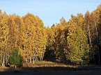 Herbst im Harz (Foto: Peter Blei)