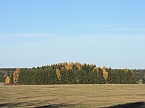 Herbst im Harz (Foto: Peter Blei)