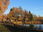 Herbst im Harz (Foto: Peter Blei)