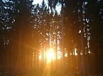 Abendstimmung am Falkenstein (Foto: Ch. Burkert)