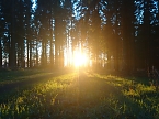 Abendstimmung am Falkenstein (Foto: Ch. Burkert)
