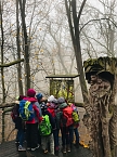Ausflug zum Baumkronenpfad (Foto: privat)