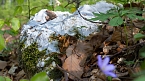 Wandern und Fotografieren (Foto: A. Levi) Wandern und Fotografieren (Foto: A. Levi)