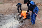 Blindg&auml;nger bei Bielen entsch&auml;rft (Foto: Angelo Glashagel)