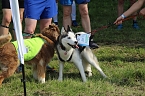 Harztorlauf 2021 (Foto: agl)